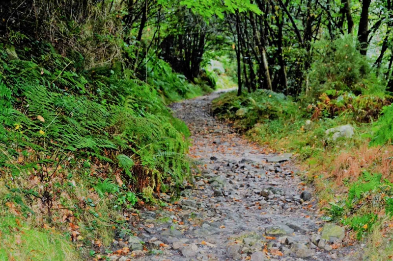 Castroverde, Camino Primitivo © Ramón Fernández